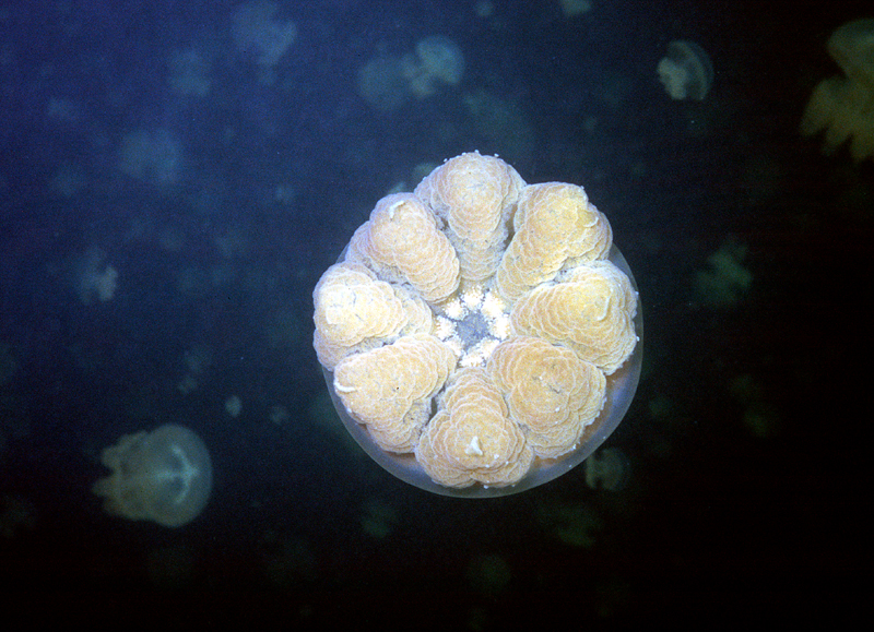 012904R2-025