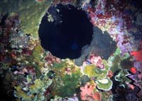 012904R2-036