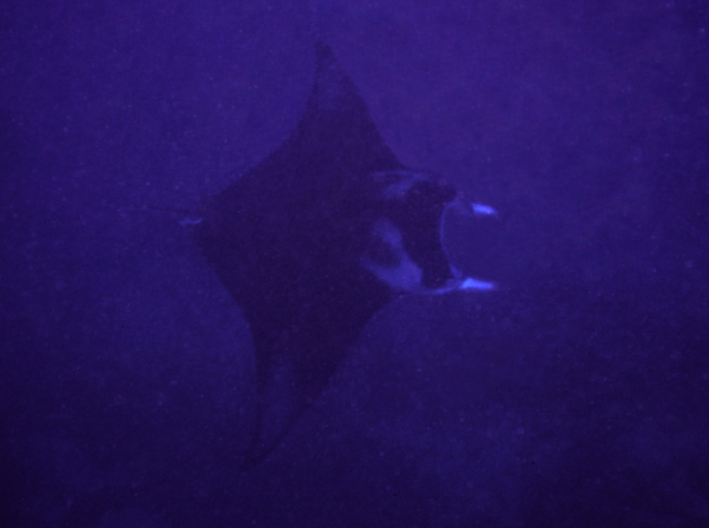 012304R1-009